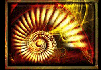 peter sharp excellent tutorials